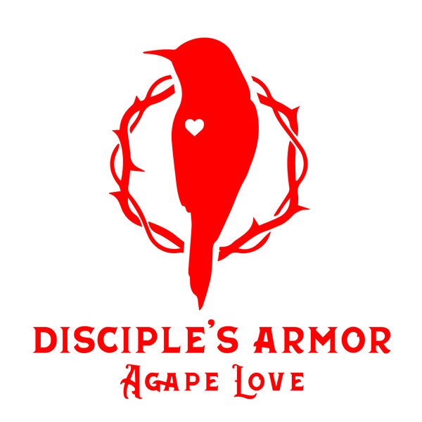 Disciple’s Armor